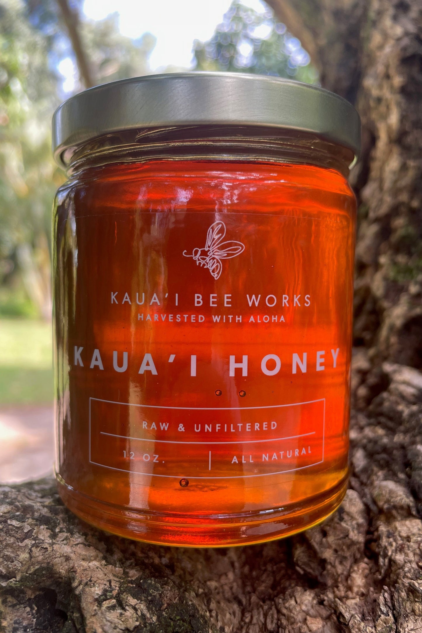 12 oz glass jar of Kaua'i Bee Works honey