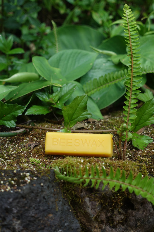 1 oz Bar of 100% Beeswax