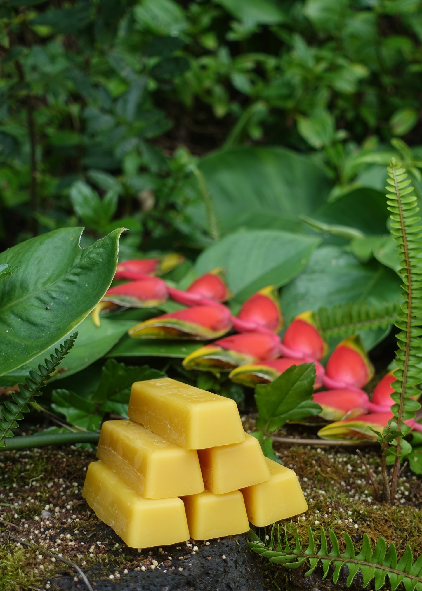 1 oz Bar of 100% Beeswax