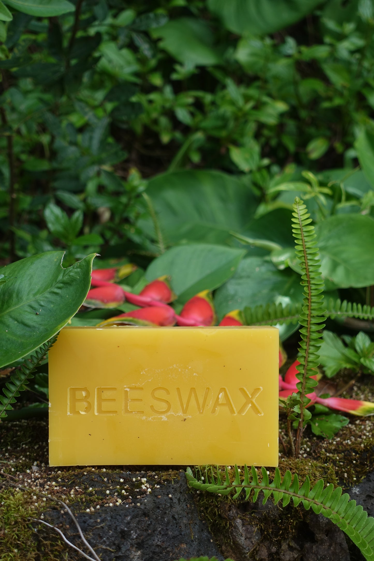 1 lb Block of 100% Beeswax