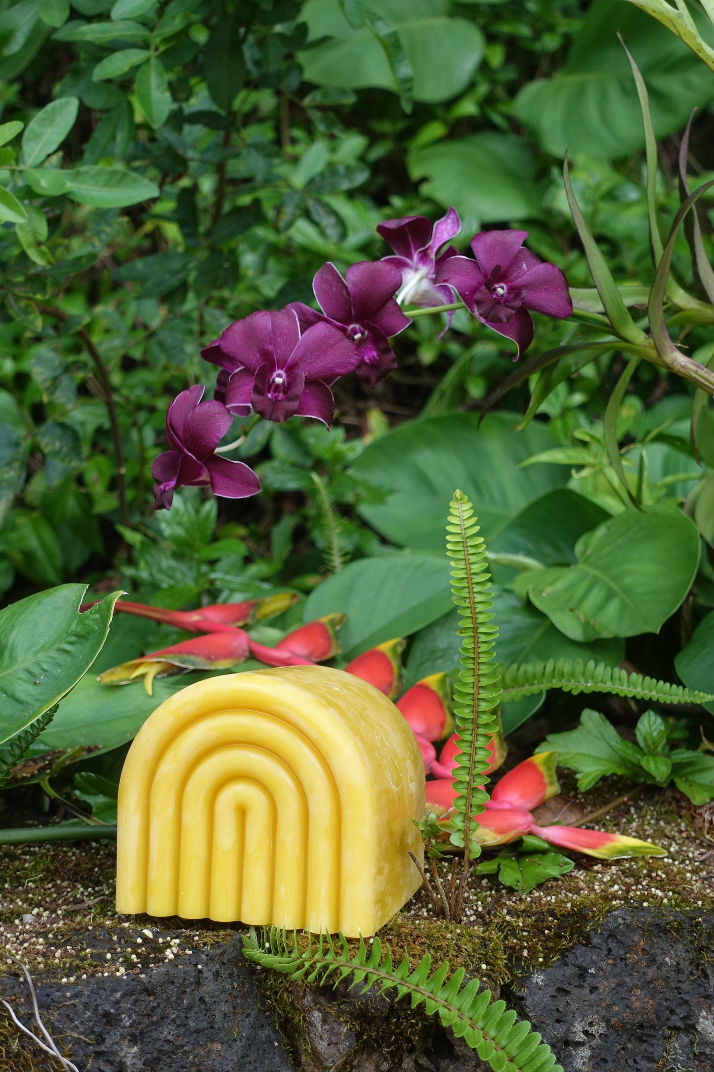 1.5 lb Rainbow Block of 100% Beeswax