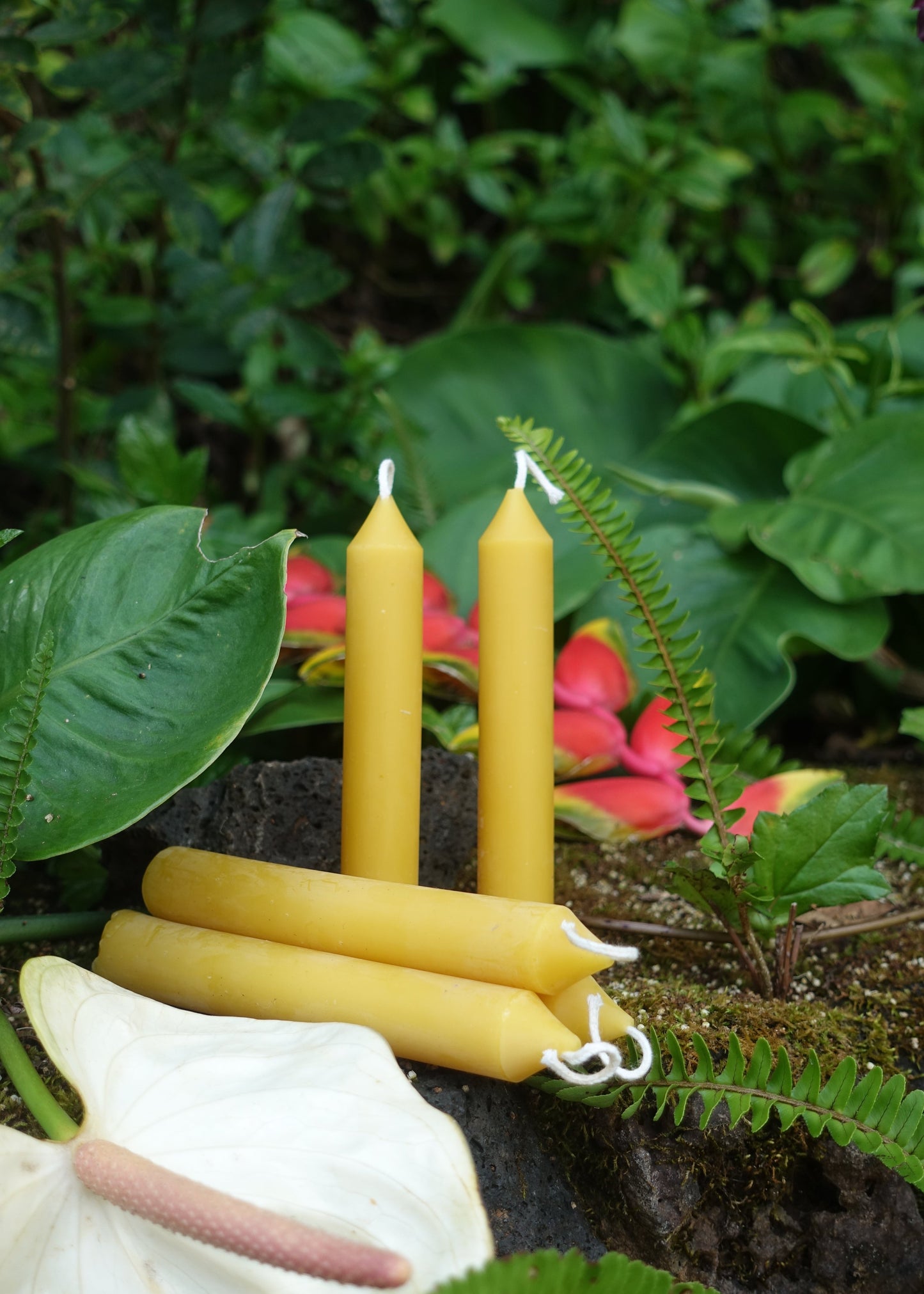 Taper Candle 5.5"