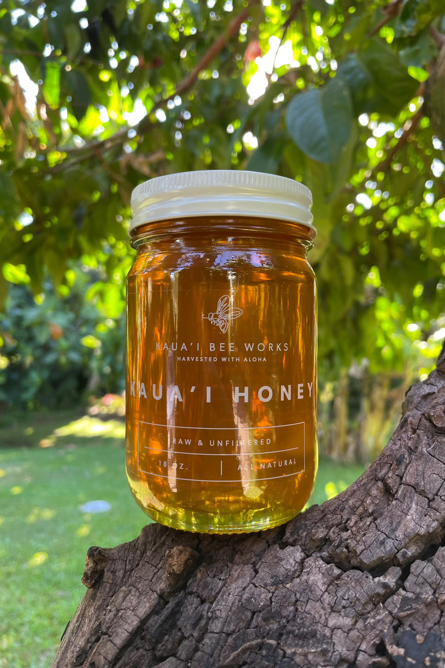 Kaua'i Honey 18 oz